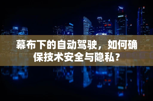 幕布下的自动驾驶，如何确保技术安全与隐私？