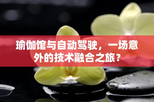 瑜伽馆与自动驾驶，一场意外的技术融合之旅？