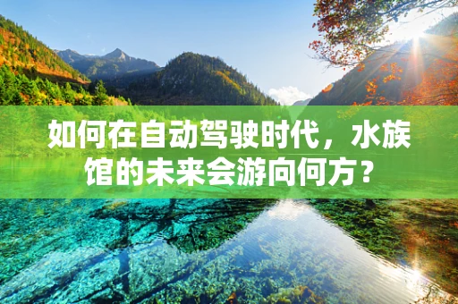 如何在自动驾驶时代，水族馆的未来会游向何方？