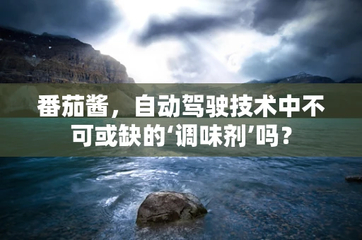 番茄酱，自动驾驶技术中不可或缺的‘调味剂’吗？