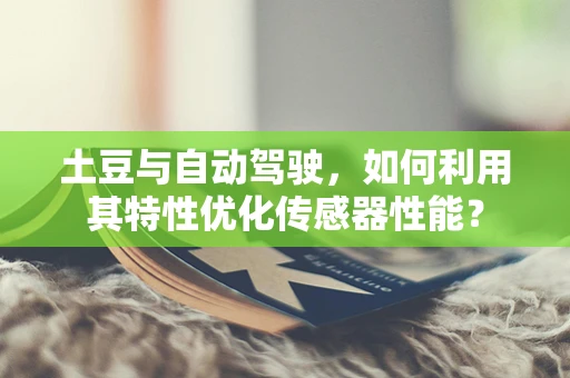 土豆与自动驾驶，如何利用其特性优化传感器性能？
