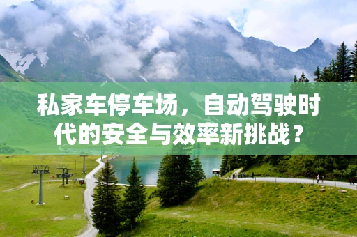 私家车停车场，自动驾驶时代的安全与效率新挑战？