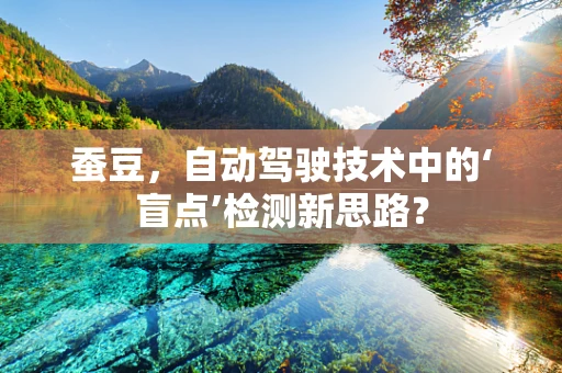蚕豆，自动驾驶技术中的‘盲点’检测新思路？