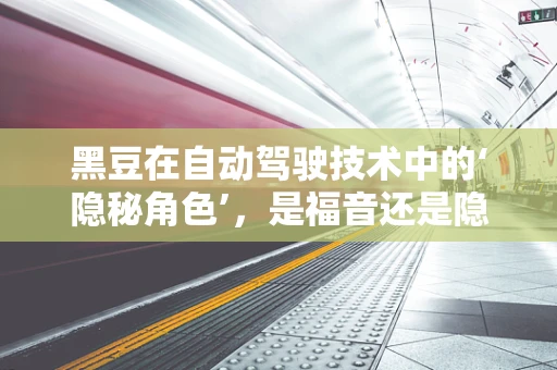 黑豆在自动驾驶技术中的‘隐秘角色’，是福音还是隐忧？