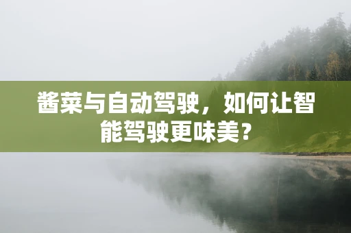 酱菜与自动驾驶，如何让智能驾驶更味美？