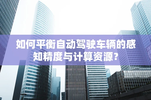 如何平衡自动驾驶车辆的感知精度与计算资源？