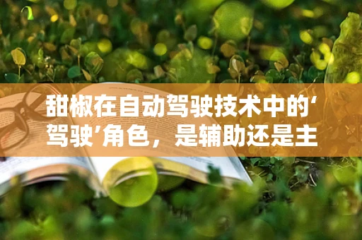 甜椒在自动驾驶技术中的‘驾驶’角色，是辅助还是主角？