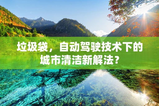 垃圾袋，自动驾驶技术下的城市清洁新解法？