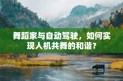 舞蹈家与自动驾驶，如何实现人机共舞的和谐？
