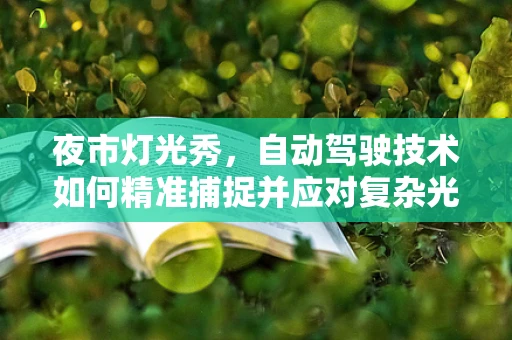 夜市灯光秀，自动驾驶技术如何精准捕捉并应对复杂光影挑战？