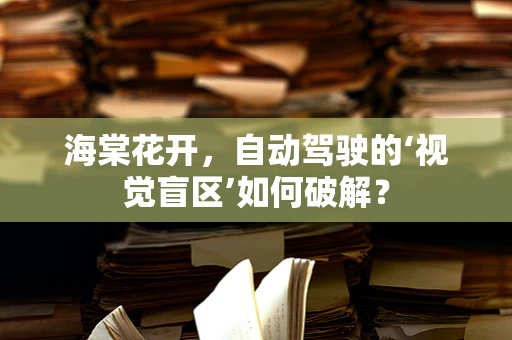 海棠花开，自动驾驶的‘视觉盲区’如何破解？
