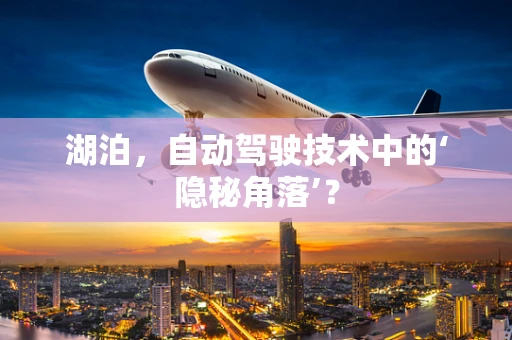 湖泊，自动驾驶技术中的‘隐秘角落’？