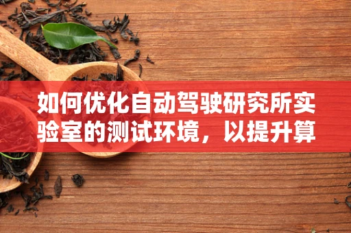 如何优化自动驾驶研究所实验室的测试环境，以提升算法验证效率？