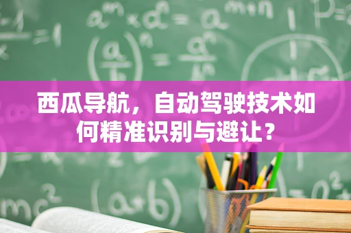西瓜导航，自动驾驶技术如何精准识别与避让？