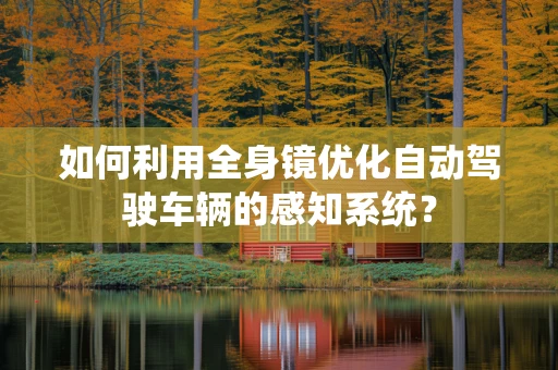 如何利用全身镜优化自动驾驶车辆的感知系统？
