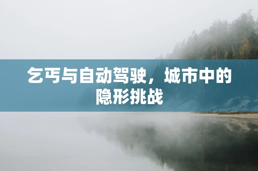 乞丐与自动驾驶，城市中的隐形挑战
