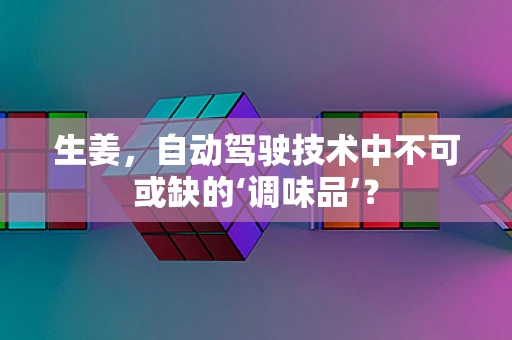 生姜，自动驾驶技术中不可或缺的‘调味品’？