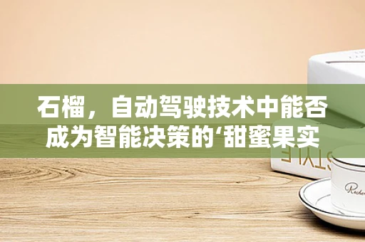 石榴，自动驾驶技术中能否成为智能决策的‘甜蜜果实’？