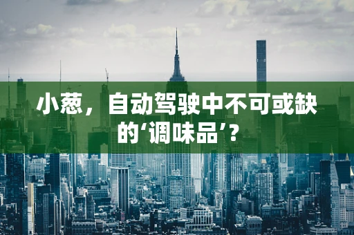 小葱，自动驾驶中不可或缺的‘调味品’？