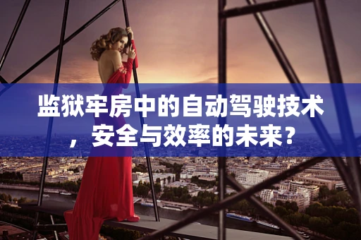 监狱牢房中的自动驾驶技术，安全与效率的未来？