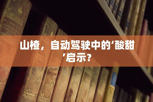 山楂，自动驾驶中的‘酸甜’启示？