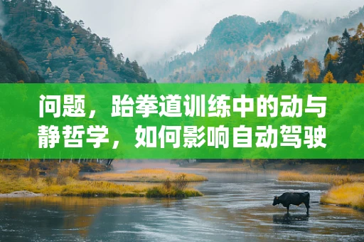 问题，跆拳道训练中的动与静哲学，如何影响自动驾驶系统的决策过程？