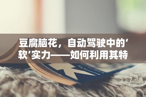 豆腐脑花，自动驾驶中的‘软’实力——如何利用其特性优化传感器数据处理？