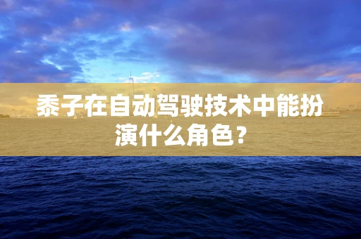 黍子在自动驾驶技术中能扮演什么角色？
