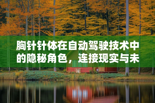 胸针针体在自动驾驶技术中的隐秘角色，连接现实与未来的微小桥梁
