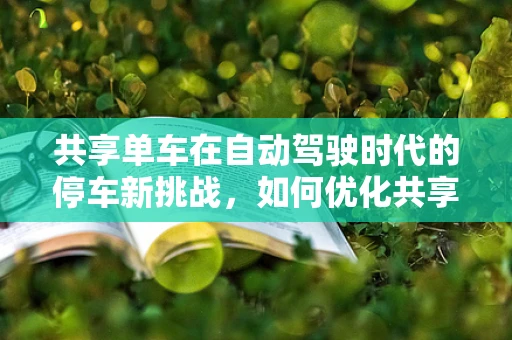 共享单车在自动驾驶时代的停车新挑战，如何优化共享单车停车区以促进智能出行？