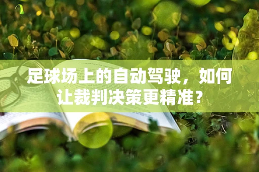足球场上的自动驾驶，如何让裁判决策更精准？