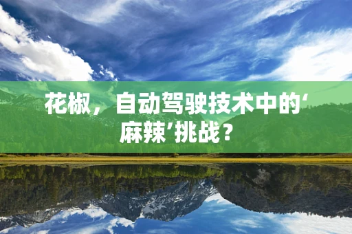 花椒，自动驾驶技术中的‘麻辣’挑战？