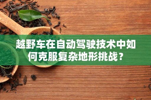 越野车在自动驾驶技术中如何克服复杂地形挑战？