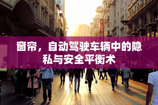 窗帘，自动驾驶车辆中的隐私与安全平衡术