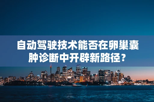 自动驾驶技术能否在卵巢囊肿诊断中开辟新路径？