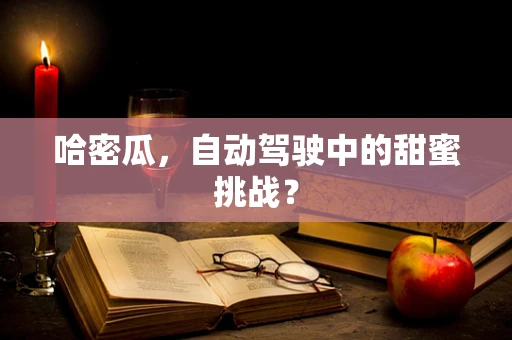 哈密瓜，自动驾驶中的甜蜜挑战？