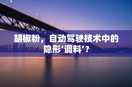 胡椒粉，自动驾驶技术中的隐形‘调料’？