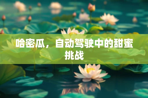 哈密瓜，自动驾驶中的甜蜜挑战