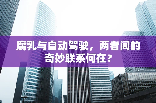腐乳与自动驾驶，两者间的奇妙联系何在？
