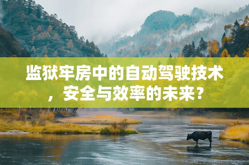 监狱牢房中的自动驾驶技术，安全与效率的未来？