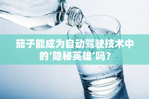 茄子能成为自动驾驶技术中的‘隐秘英雄’吗？