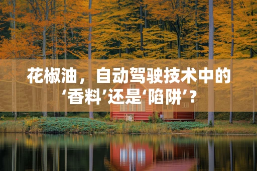花椒油，自动驾驶技术中的‘香料’还是‘陷阱’？