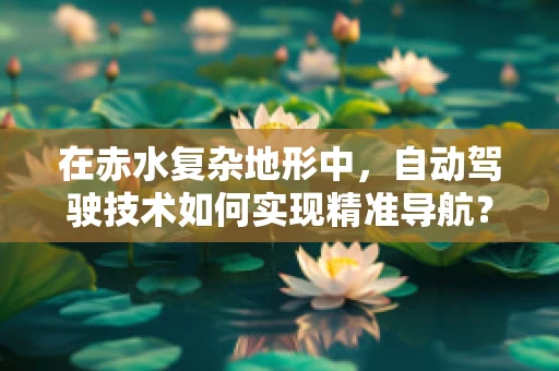 在赤水复杂地形中，自动驾驶技术如何实现精准导航？