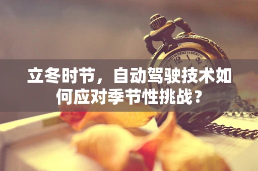 立冬时节，自动驾驶技术如何应对季节性挑战？
