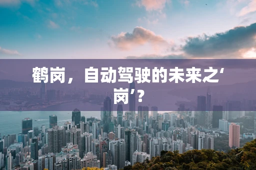 鹤岗，自动驾驶的未来之‘岗’？