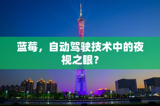 蓝莓，自动驾驶技术中的夜视之眼？