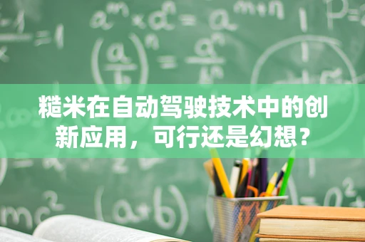 糙米在自动驾驶技术中的创新应用，可行还是幻想？