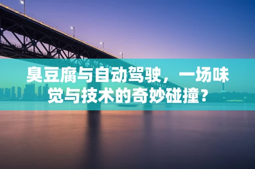 臭豆腐与自动驾驶，一场味觉与技术的奇妙碰撞？
