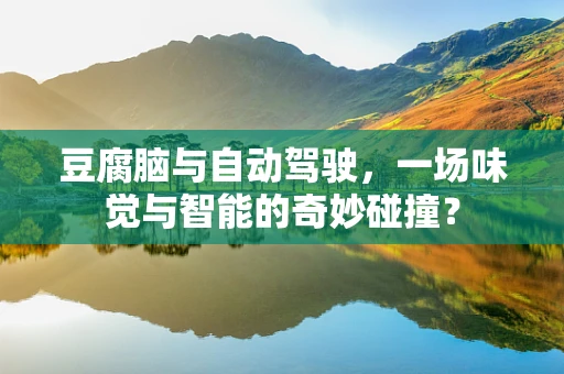 豆腐脑与自动驾驶，一场味觉与智能的奇妙碰撞？