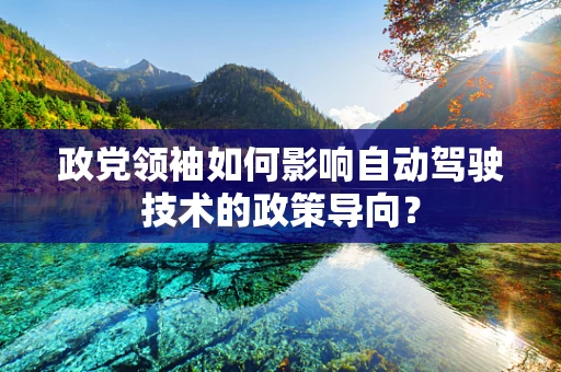政党领袖如何影响自动驾驶技术的政策导向？